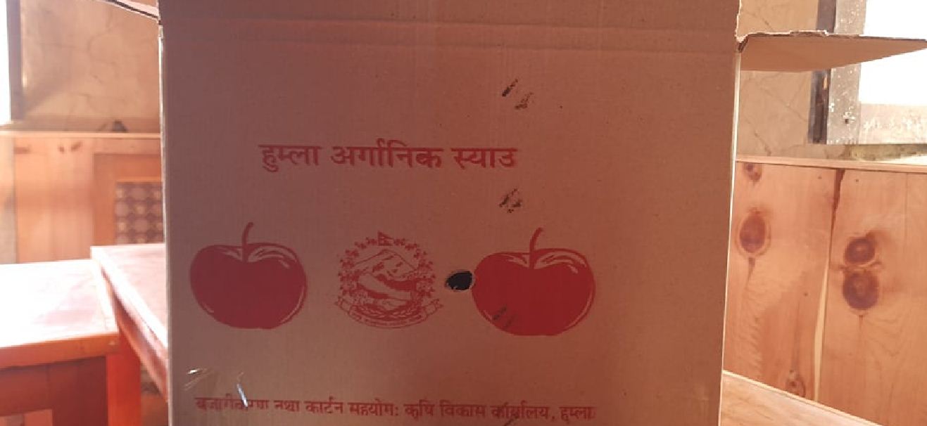 हुम्लामा ‘अर्गानिक स्याउका कार्टुन’ वितरण